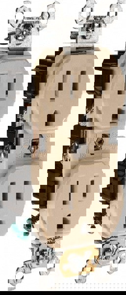 Straight Blade Duplex Receptacle: NEMA 5-15R, 15 Amps, Self-Grounding